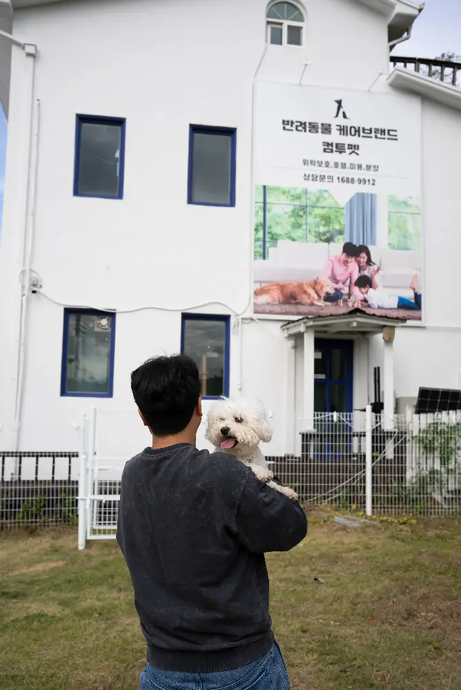 보령 강아지파양 파양·분양 사례 7