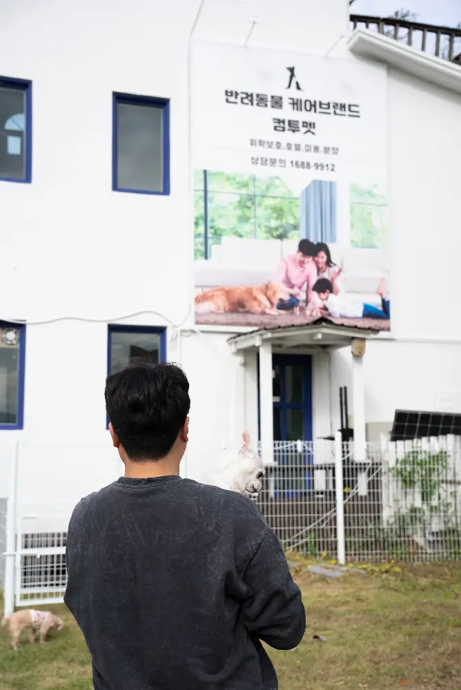 보령 강아지파양 파양·분양 사례 1
