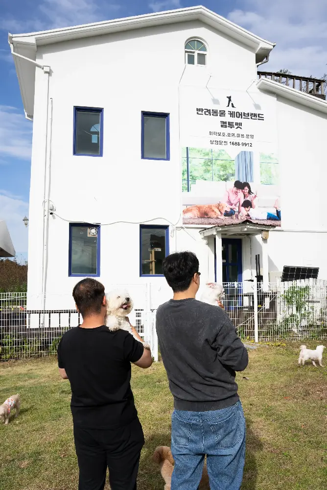 보령 강아지파양 파양·분양 사례 4