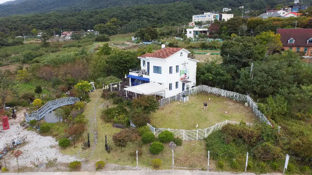 긴급 상담