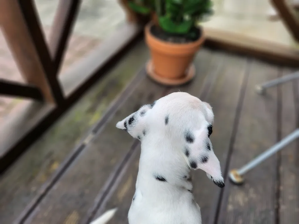 털·관리