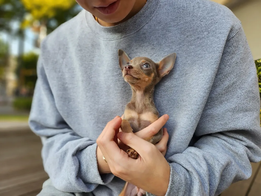 기질