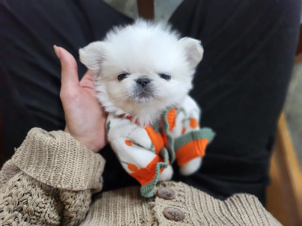 털·관리