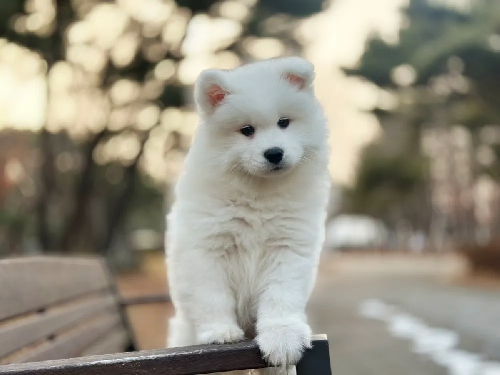 집 환경