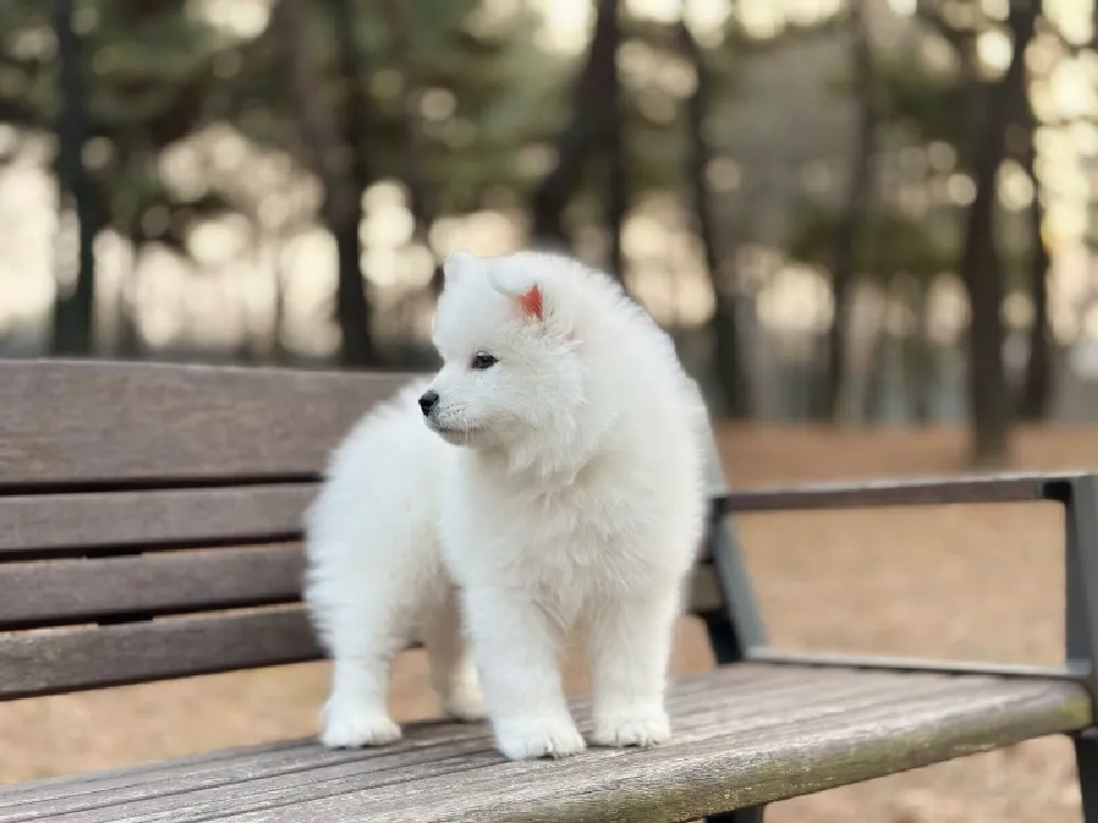 털·관리