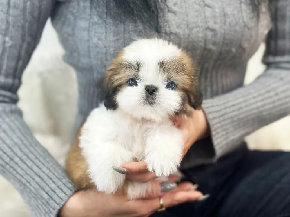 털·관리