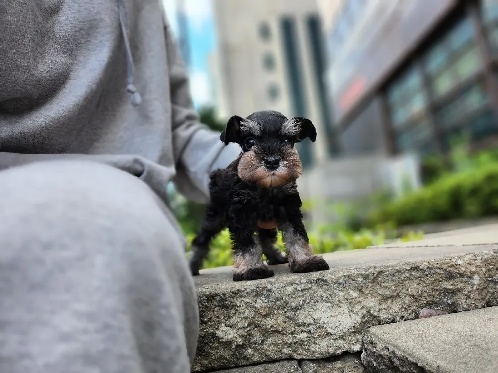 기질