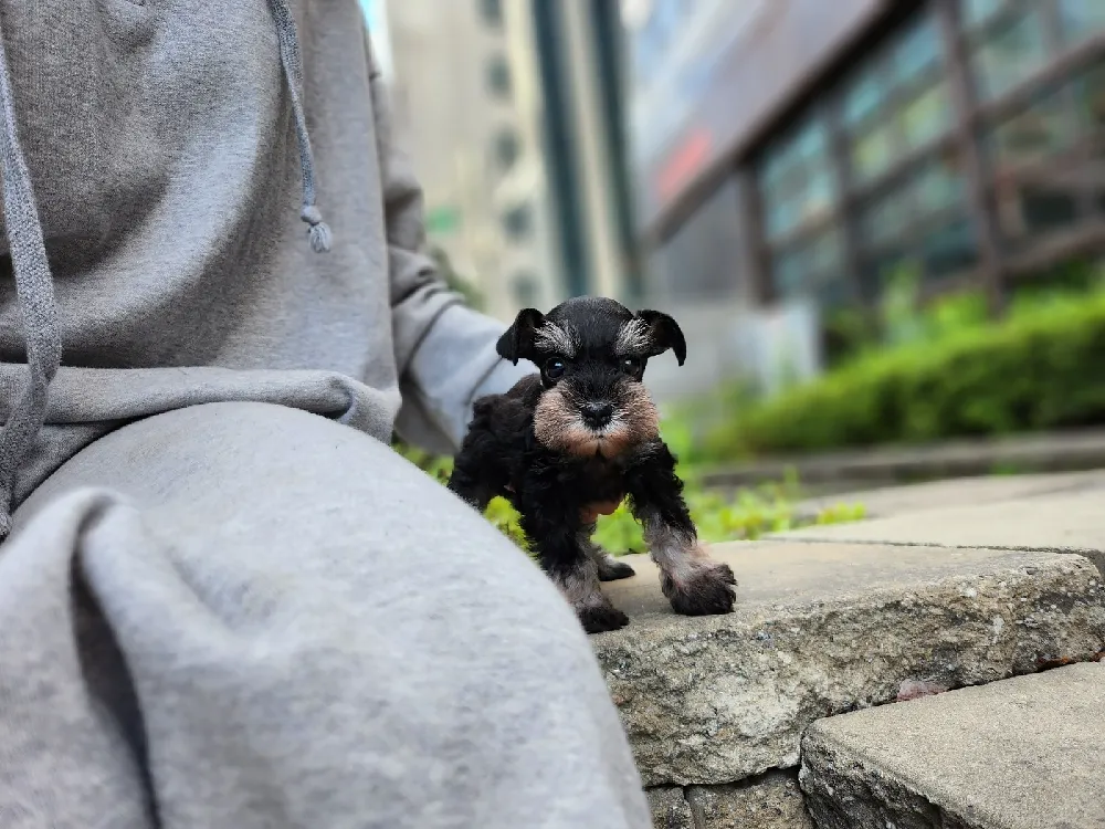 털·관리