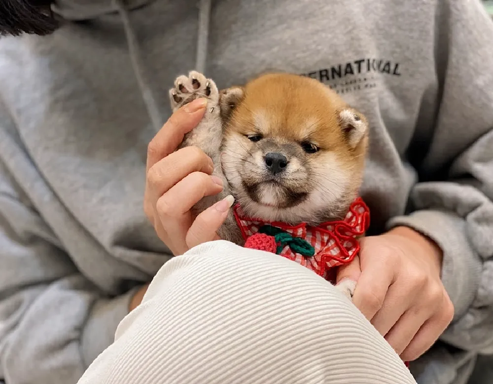 기질