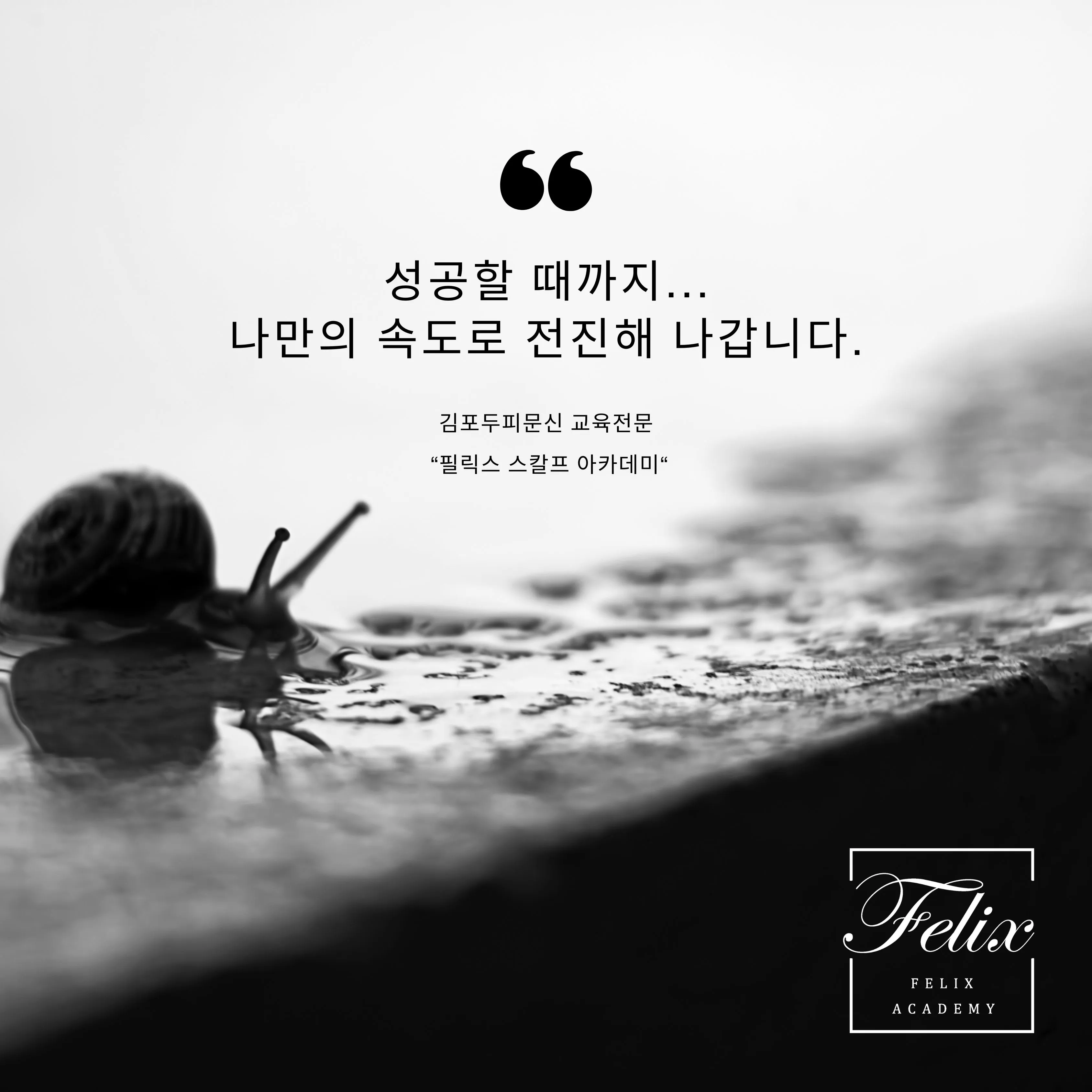 사후관리